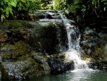 Imagen Parque Nacional Natural Uramba